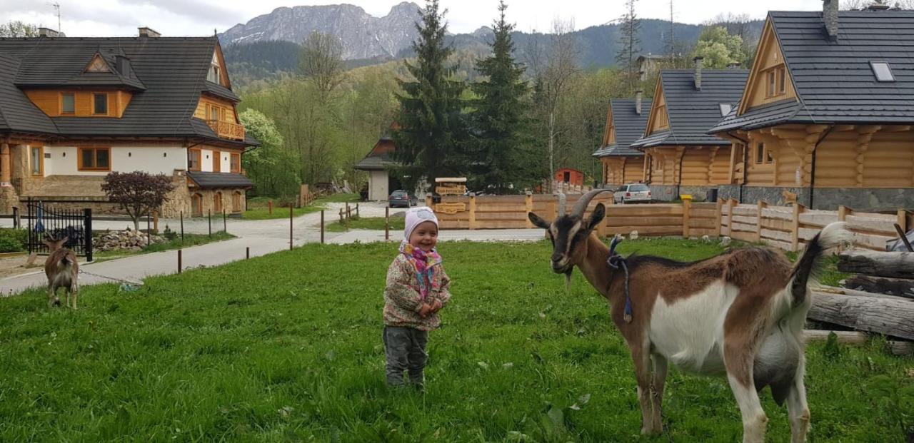 Apartament Karpielowka Przy Potoku Kościelisko Esterno foto
